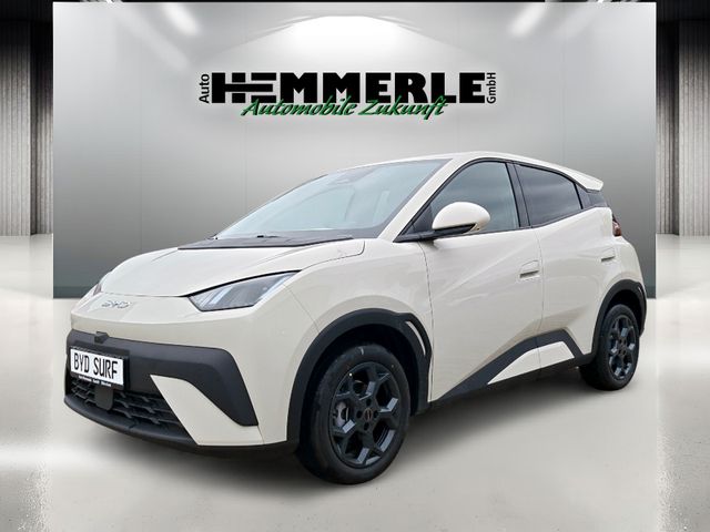 DOLPHIN SURF Comfort*360 Kamera*SHZ*Freisprech*