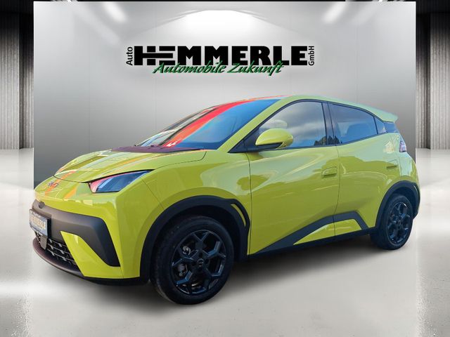 DOLPHIN SURF Comfort*360 Kamera*SHZ*Freisprech*